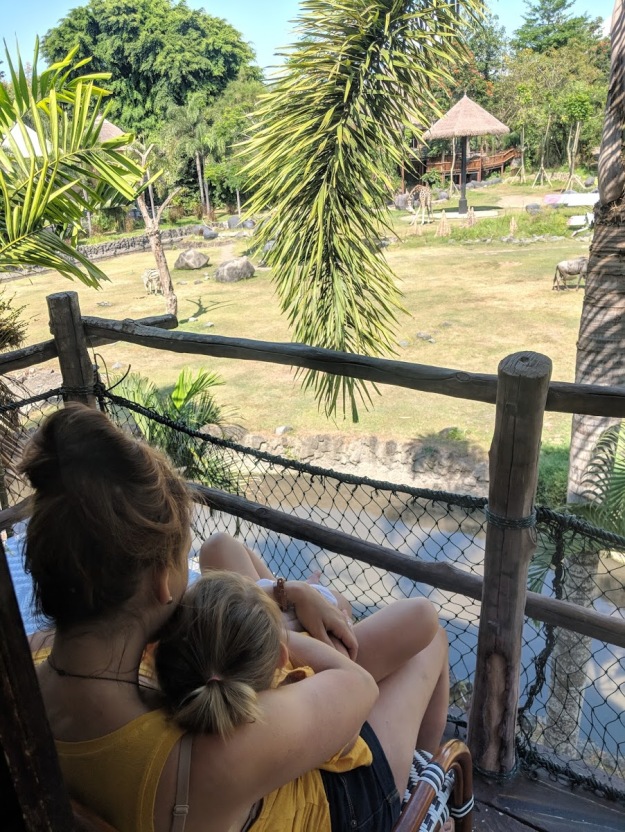 Bali - Safari Park - Watching Gnelly Gnu